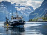 Optimiertes Alt-Text-Bild zum Thema beste Jahreszeit Norwegen angeln
