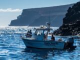 Informative Bildbeschreibung der Übersetzung von Angeln Teneriffa ins Englische als Fishing Tenerife