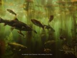 Verschiedene Loch Ness Fischarten in ihrem natürlichen Lebensraum